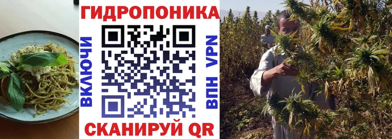 даркнет формула  где купить наркоту  Кодинск  Cannafood марихуана 