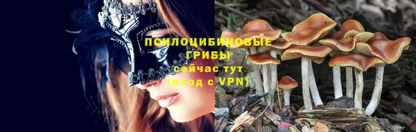 экстази Богородицк